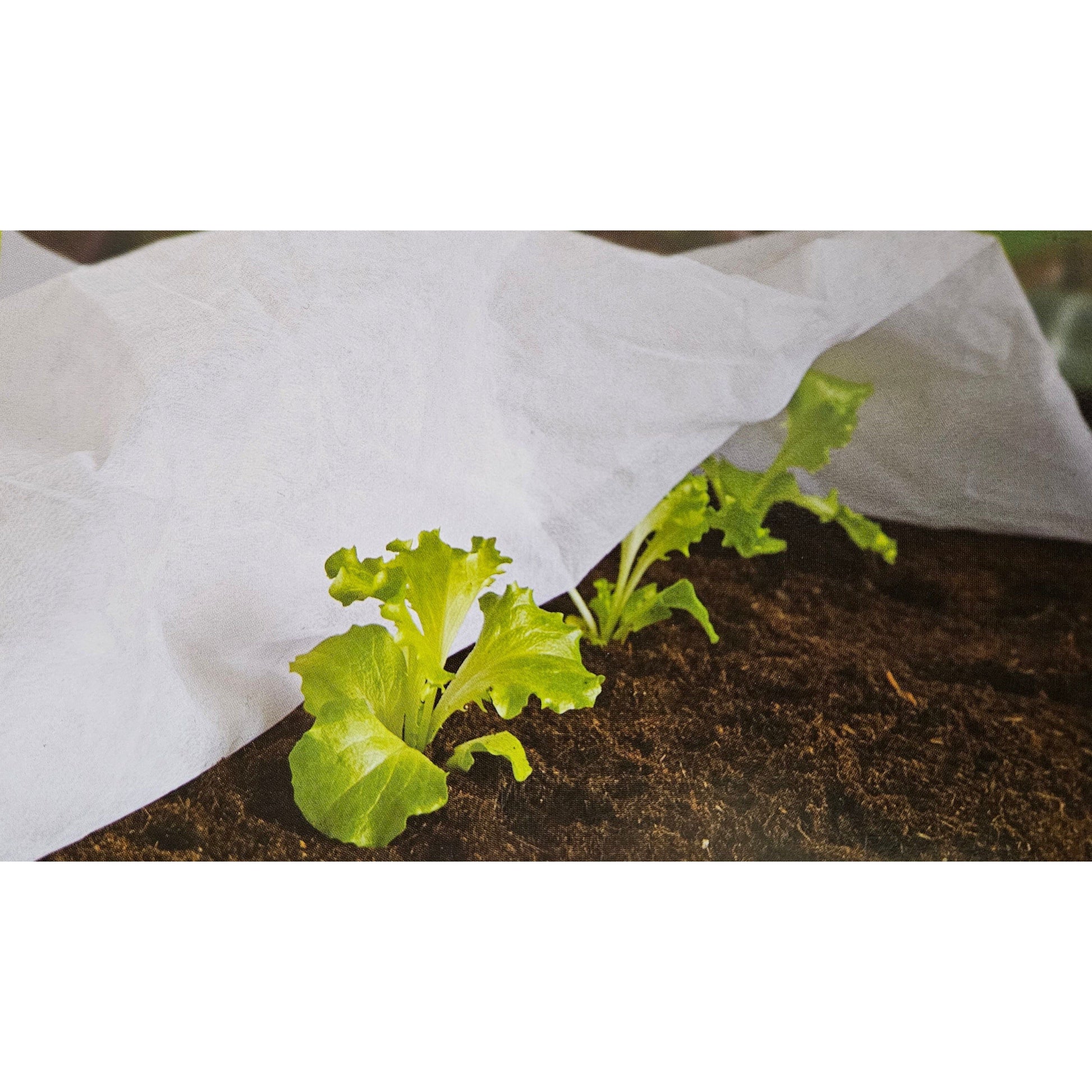 Atmungsaktive Pflanzenabdeckung für zuverlässigen Frostschutz