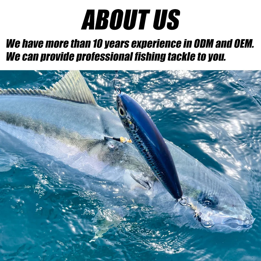 Langsam schwimmender Minnow Angelköder Explorers Shad für Hecht Barsch