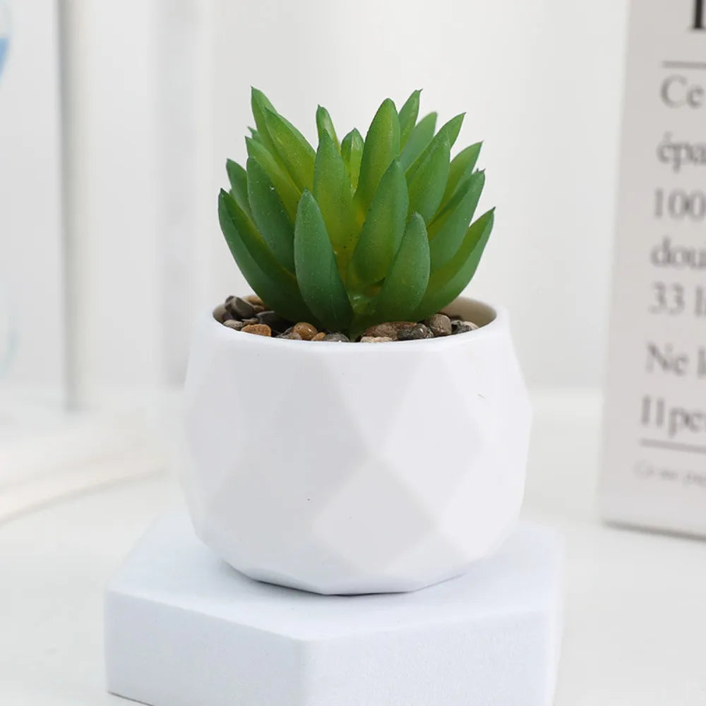 Mini Kunststoff Bonsai Sukkulente Desktop-Deko für Indoor Outdoor