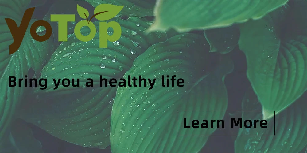 Silikon Knet Teigbeutel 1 5 kg für Brot Gebäck und Pizza vielseitig-Yabubest - Home & More