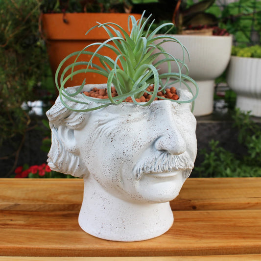 Moderner Gesichtskopf Pflanztopf für stilvolle Innen- und Außendeko