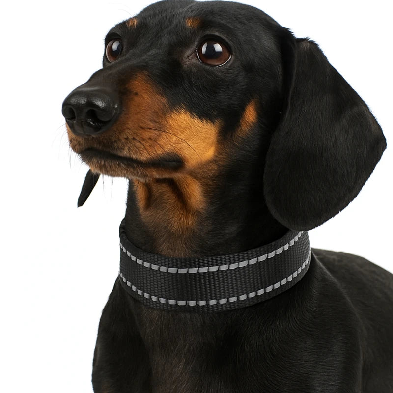 Reflektierendes 25 mm Polyester-Gurtband 5 m für Taschen DIY Hundehalsband