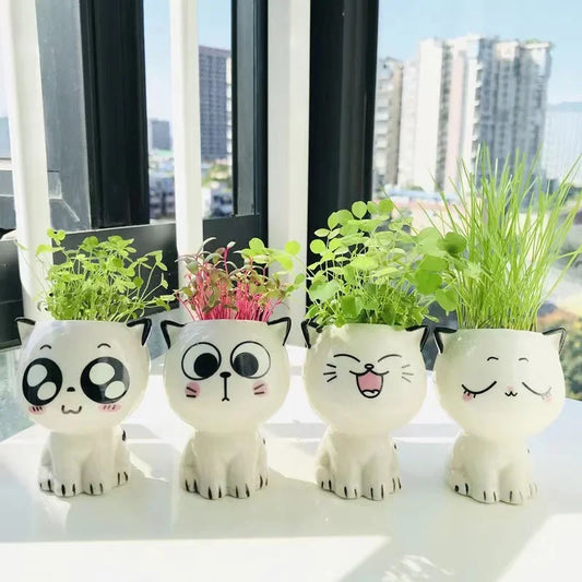 Niedlicher Keramik Mini Blumentopf Katze Cartoon für Schreibtisch Dekoration