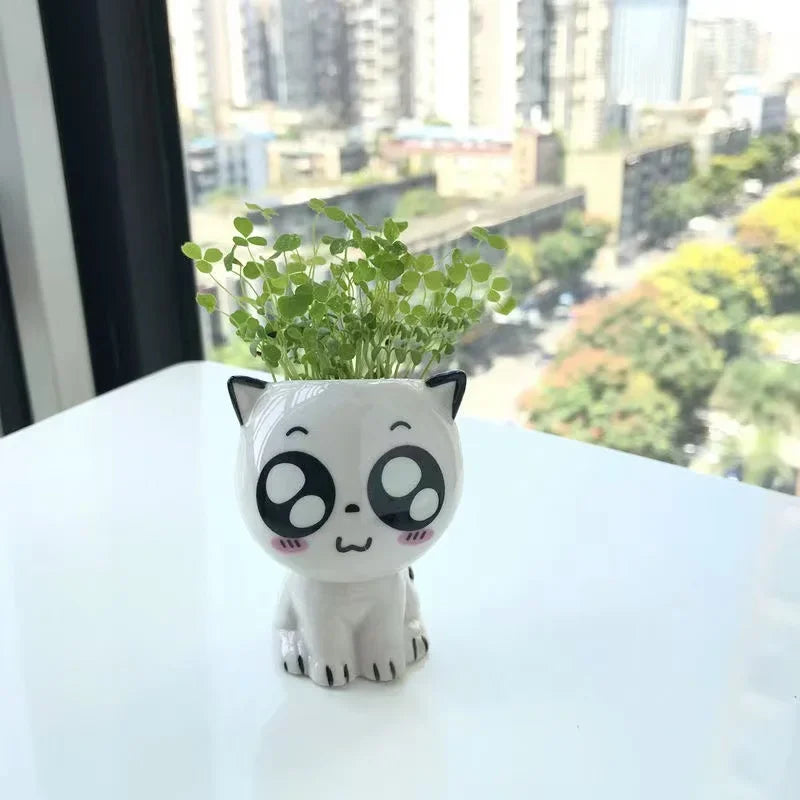 Niedlicher Keramik Mini Blumentopf Katze Cartoon für Schreibtisch Dekoration