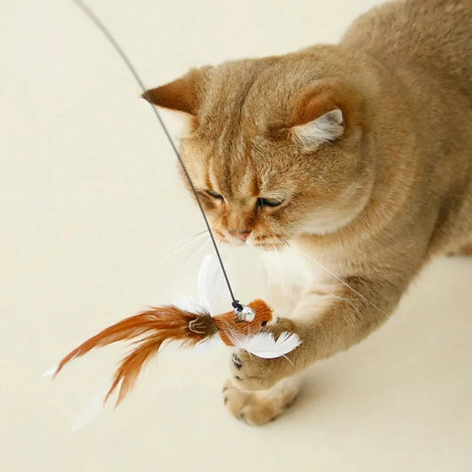 Interaktiver Katzenstab mit Vogelfeder und Glocke für Spiel und Übung - Yabubest - Home & More