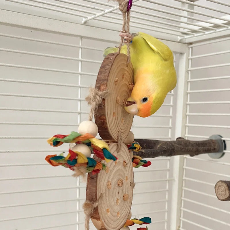 Papagei Kauspielzeug Set mit Maisschale Tannenzapfen Holz für Haustiere