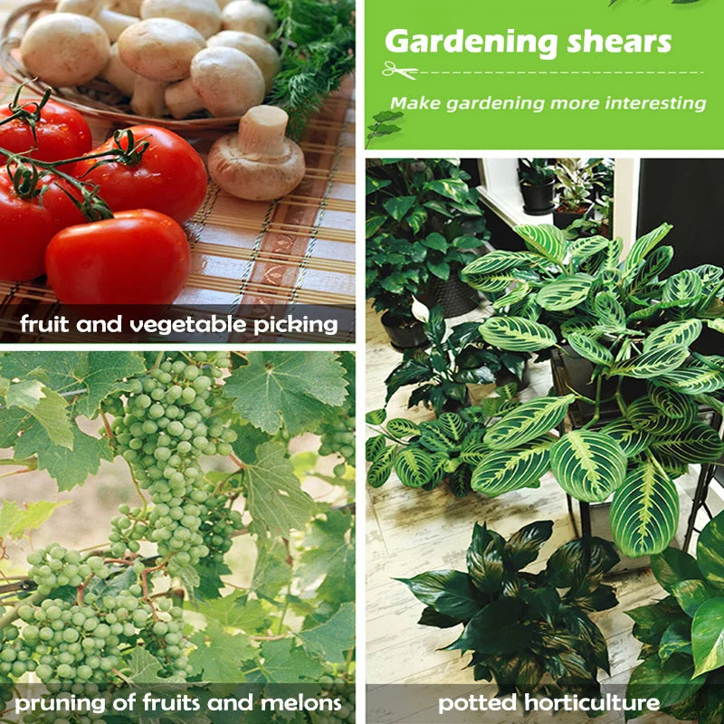 Präzisions Gartenschere für Blumen Bonsai Obstpflücken und Jäten Variantenwahl