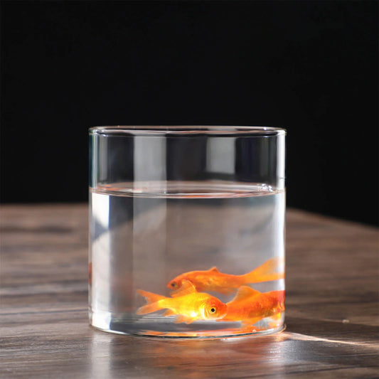 Transparente Glasvase Zylinder Hydroponik Blumenvase für Home Office