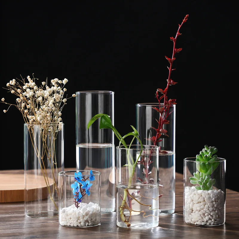 Transparente Glas-Hydrokulturvase Zylinderform für Blumen und Deko
