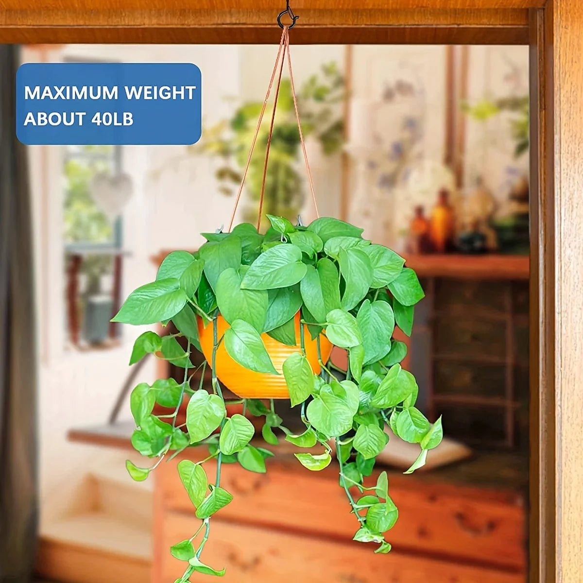 Aufhängerhaken mit Sicherheitsschnalle winddichte Schraubhaken für Lichterketten