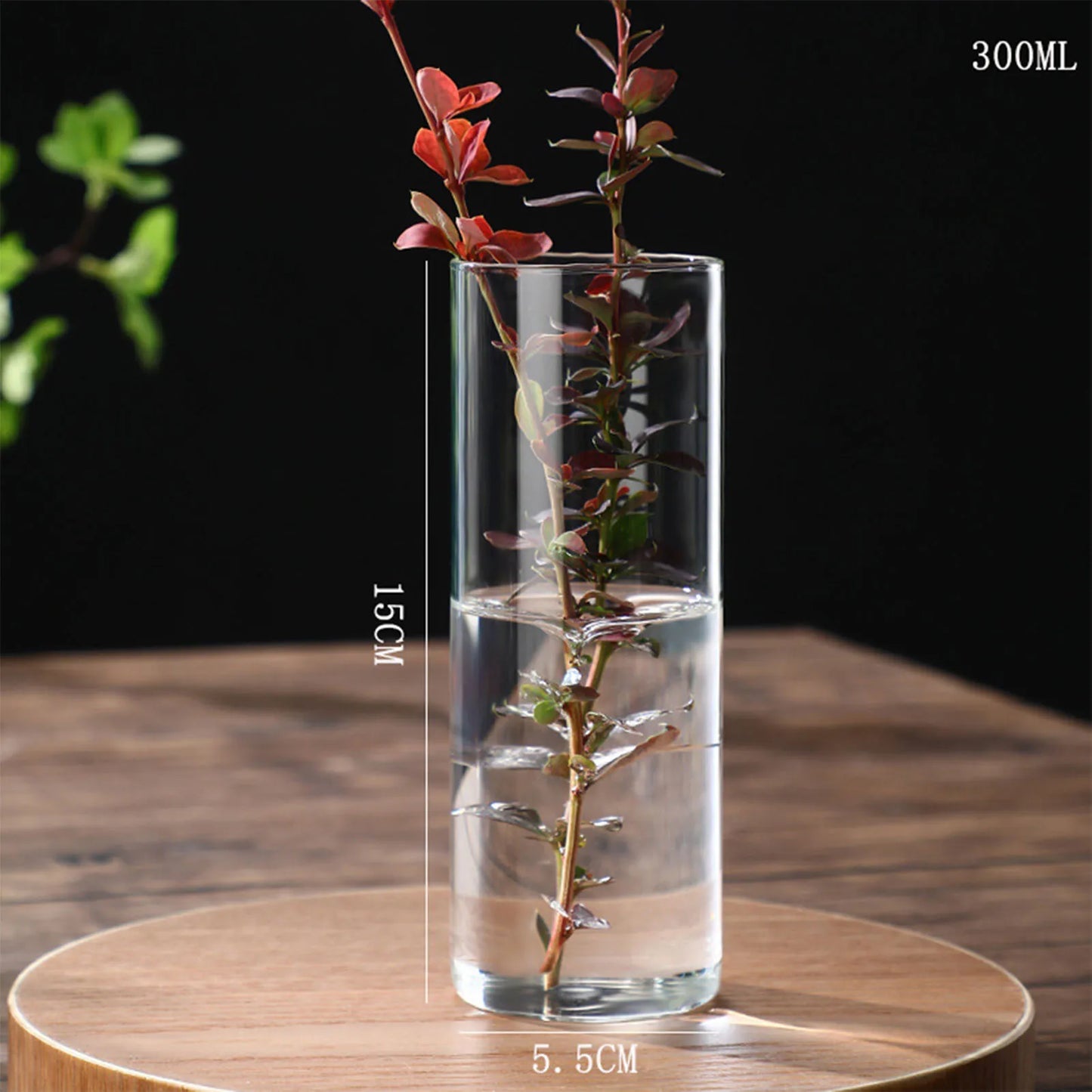 Transparente Glas-Hydrokulturvase Zylinderform für Blumen und Deko