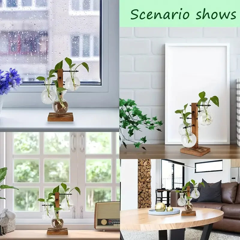 Moderne Hydrokultur Glasvase für Desktop Pflanzenvermehrung