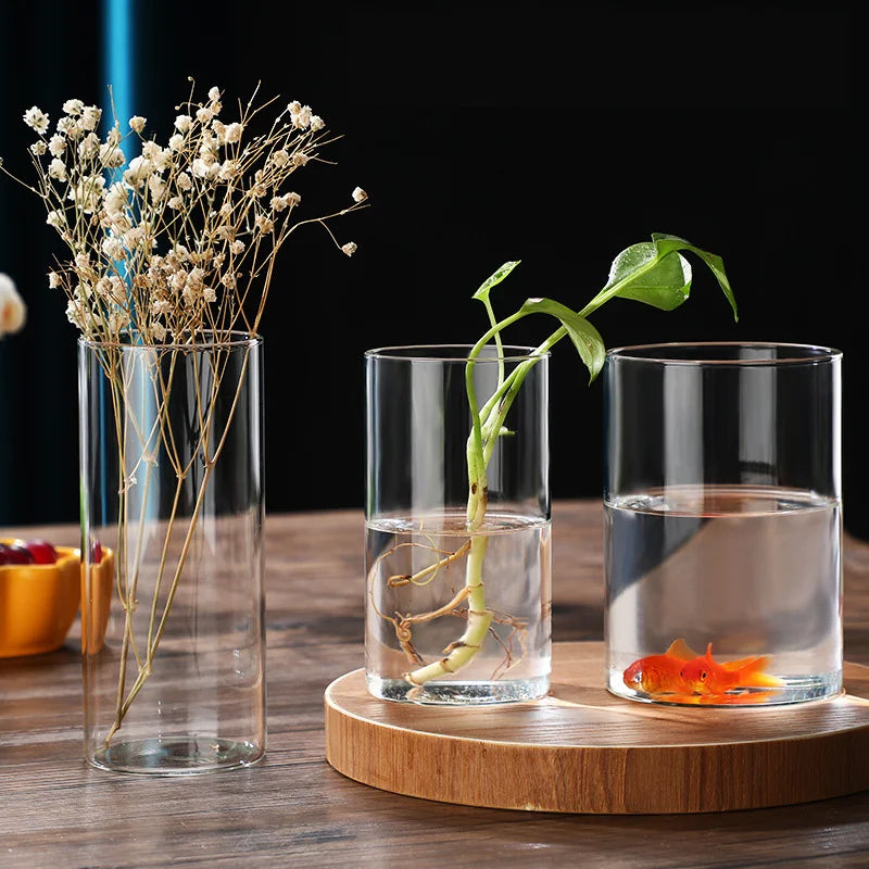 Transparente Glas-Hydrokulturvase Zylinderform für Blumen und Deko
