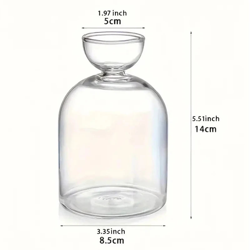 Dekorative Glas Anzuchtvase für Avocado Samen und Pflanzen