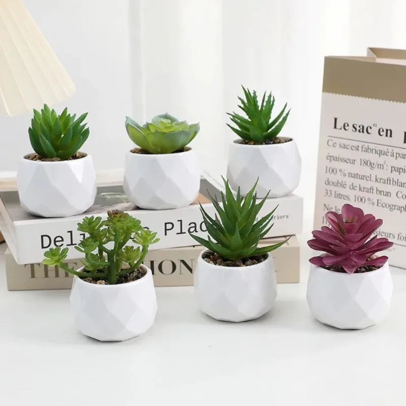 Mini Kunststoff Bonsai Sukkulente Desktop-Deko für Indoor Outdoor