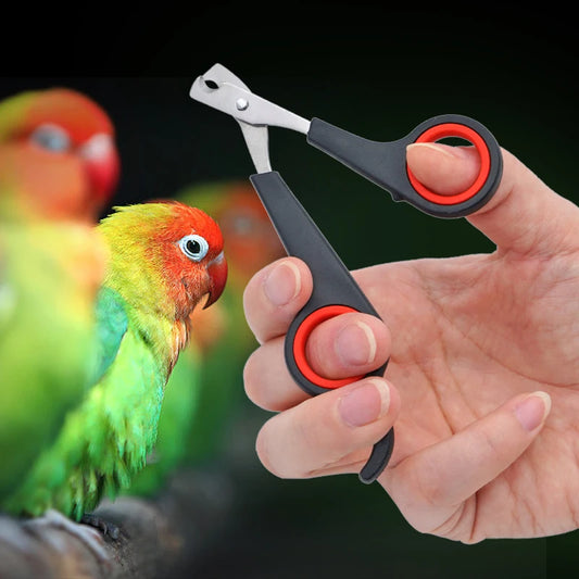 Nagelknipser für Haustiere Edelstahl Schere für Hunde Katzen Vögel