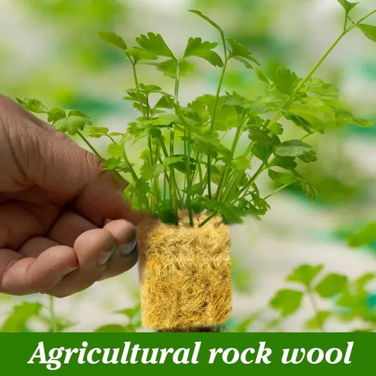 Steinwolle Würfel für Hydrokultur - Ideal für Keimung und Anbau
