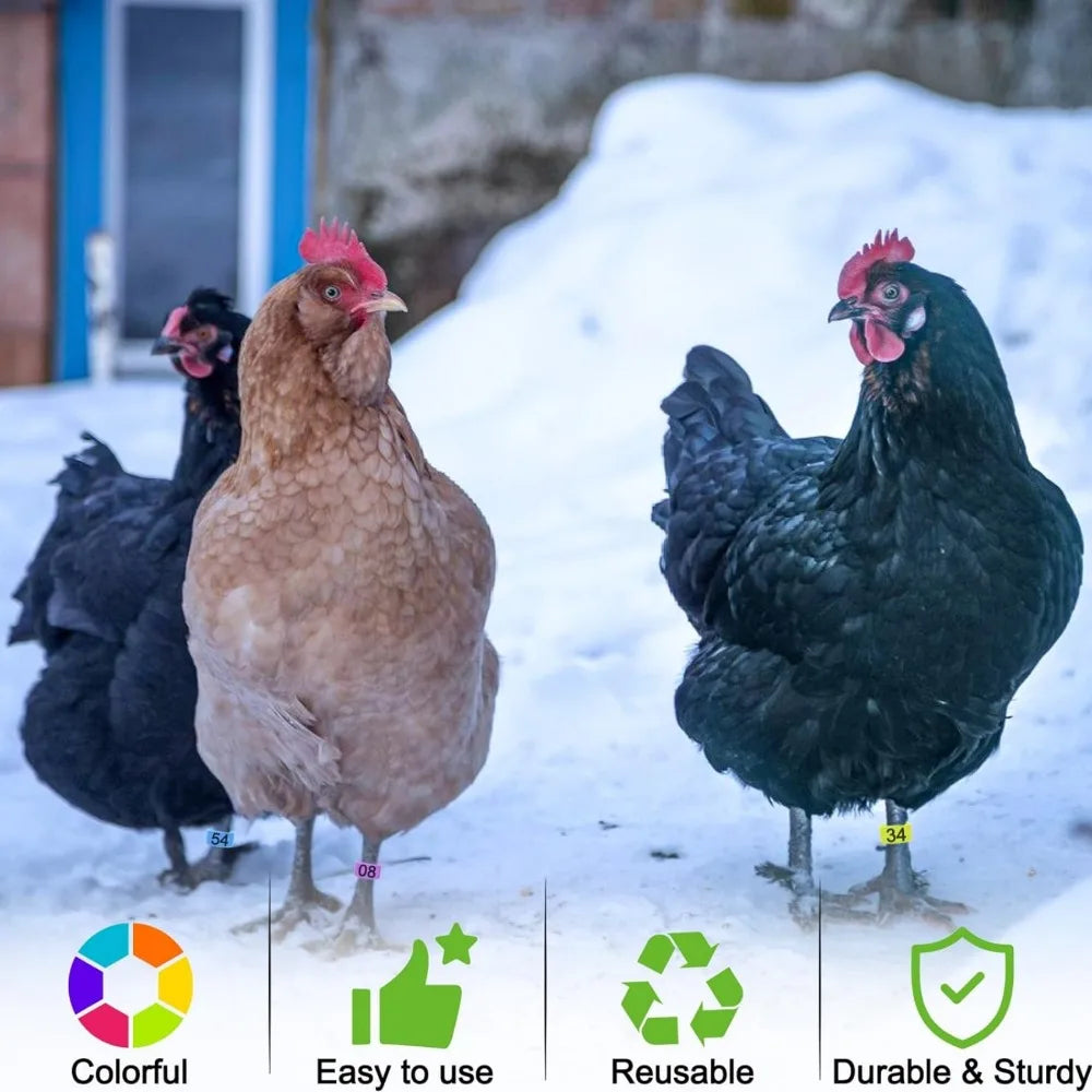 Mehrfarbige nummerierte Hühnerfußringe 1,6 cm 10 bis 50 Stück