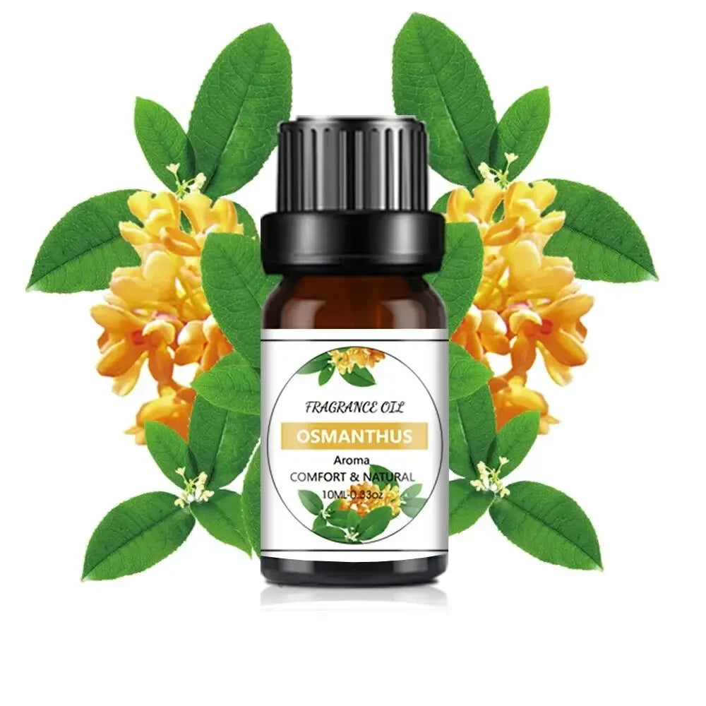 10 ml ätherisches Öl mit Mango-Ananas-Aroma für DIY-Seifenkerzen