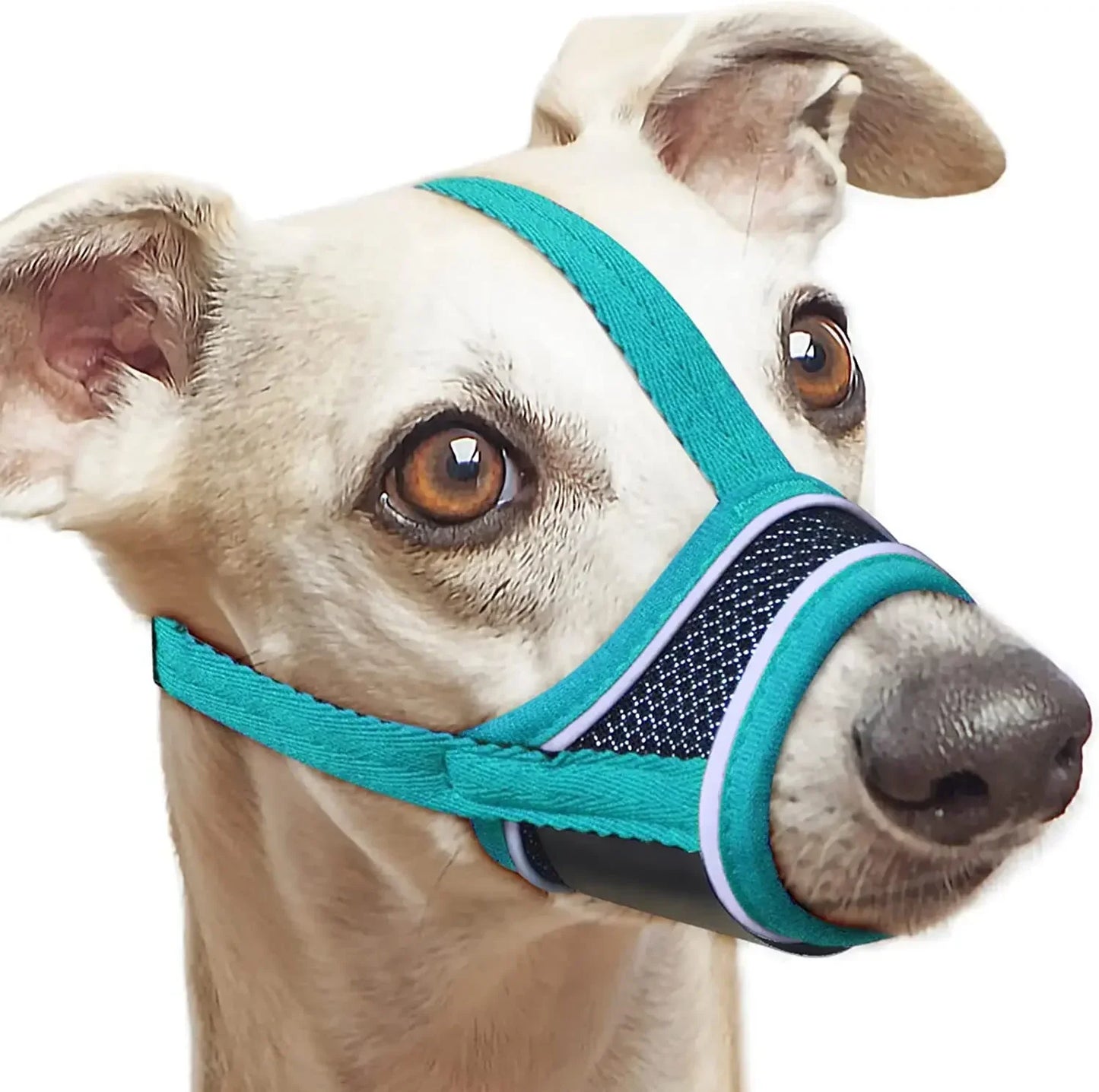 Sicher - Komfortabel: Verstellbare, reflektierende Hunde-Mundabdeckung aus Nylon