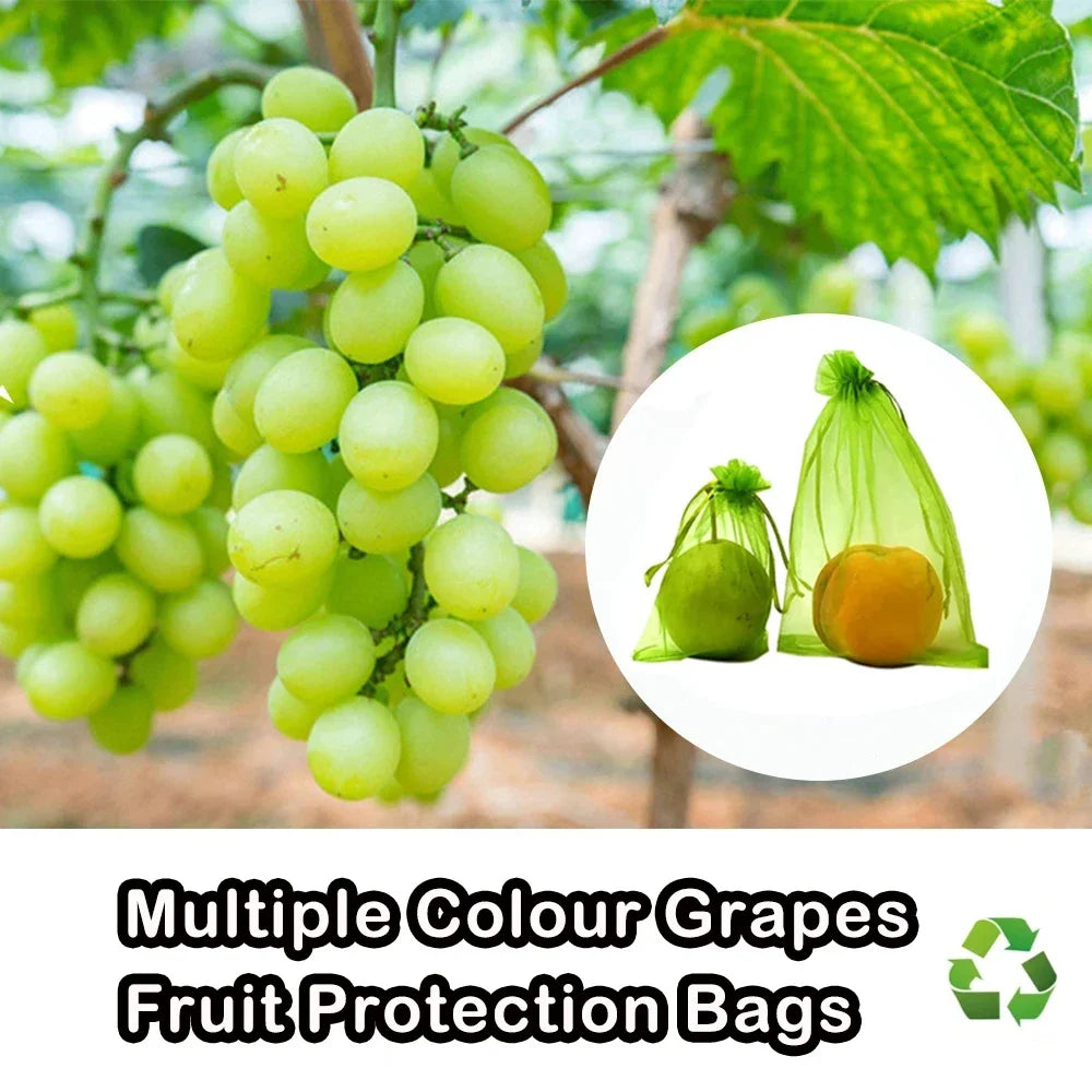 Schutznetz Taschen für Obst und Gemüse zur Ernte