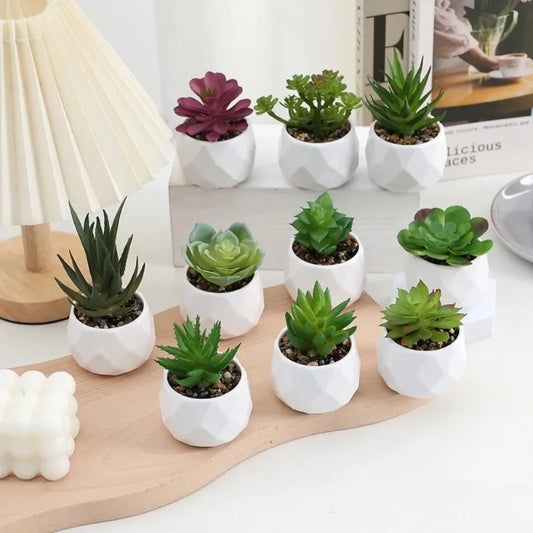 Mini Kunststoff Bonsai Sukkulente Desktop-Deko für Indoor Outdoor