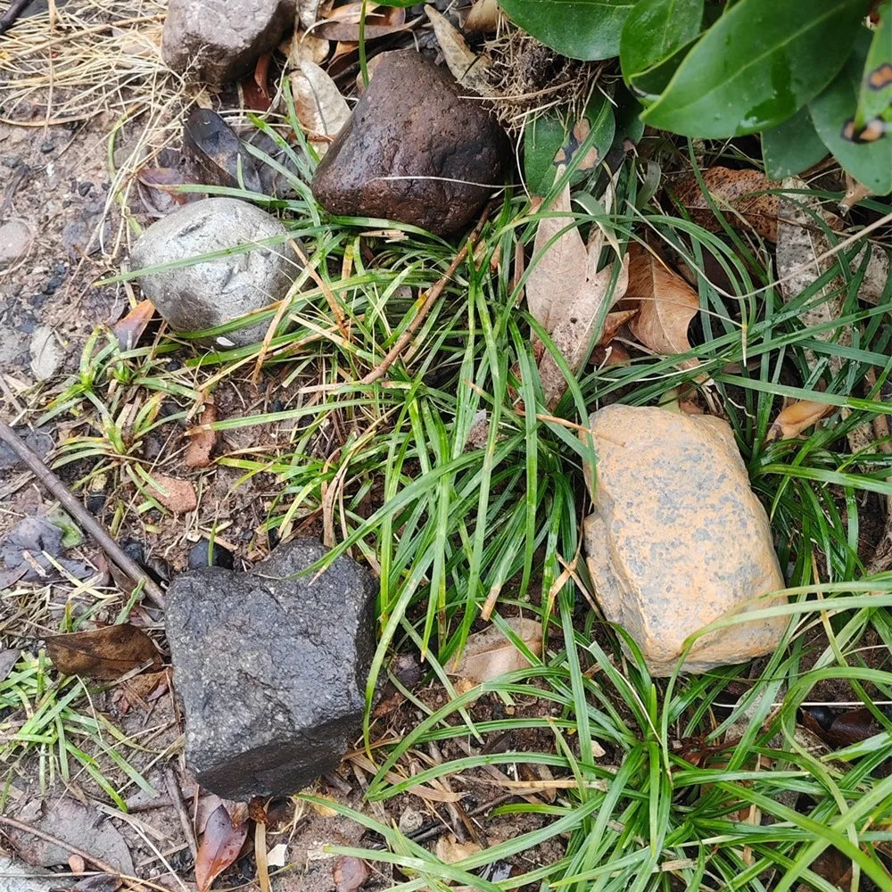 Versteckte Aufbewahrungsbox in gefälschtem Felsen für Schlüssel sicher Outdoor