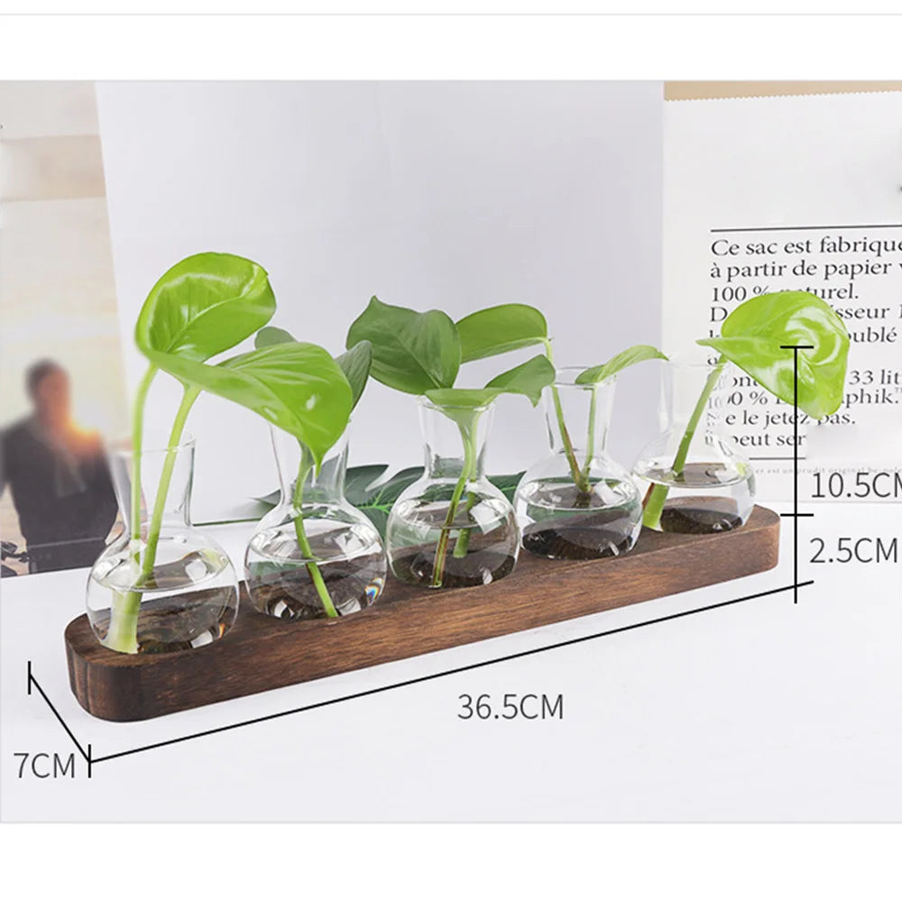 Modernes Hydrokultur-Pflanzengefäß mit Glasvase und Holzständer