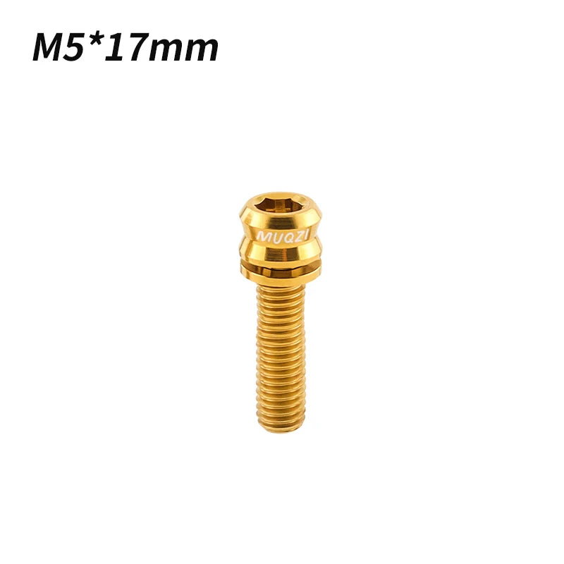 Titan Schrauben Fahrrad M5 M6 Verschiedene Längen für Headset Vorbau Bremse