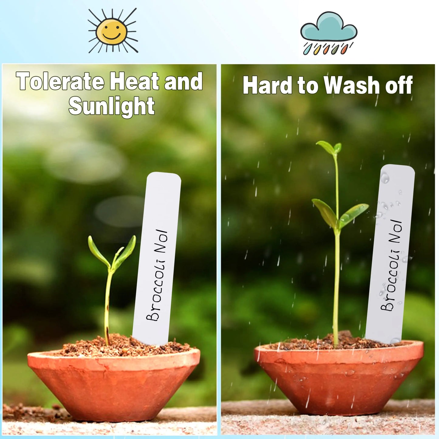 Wasserdichte Pflanzenstecker zur Beschriftung im Garten Set 100 St.