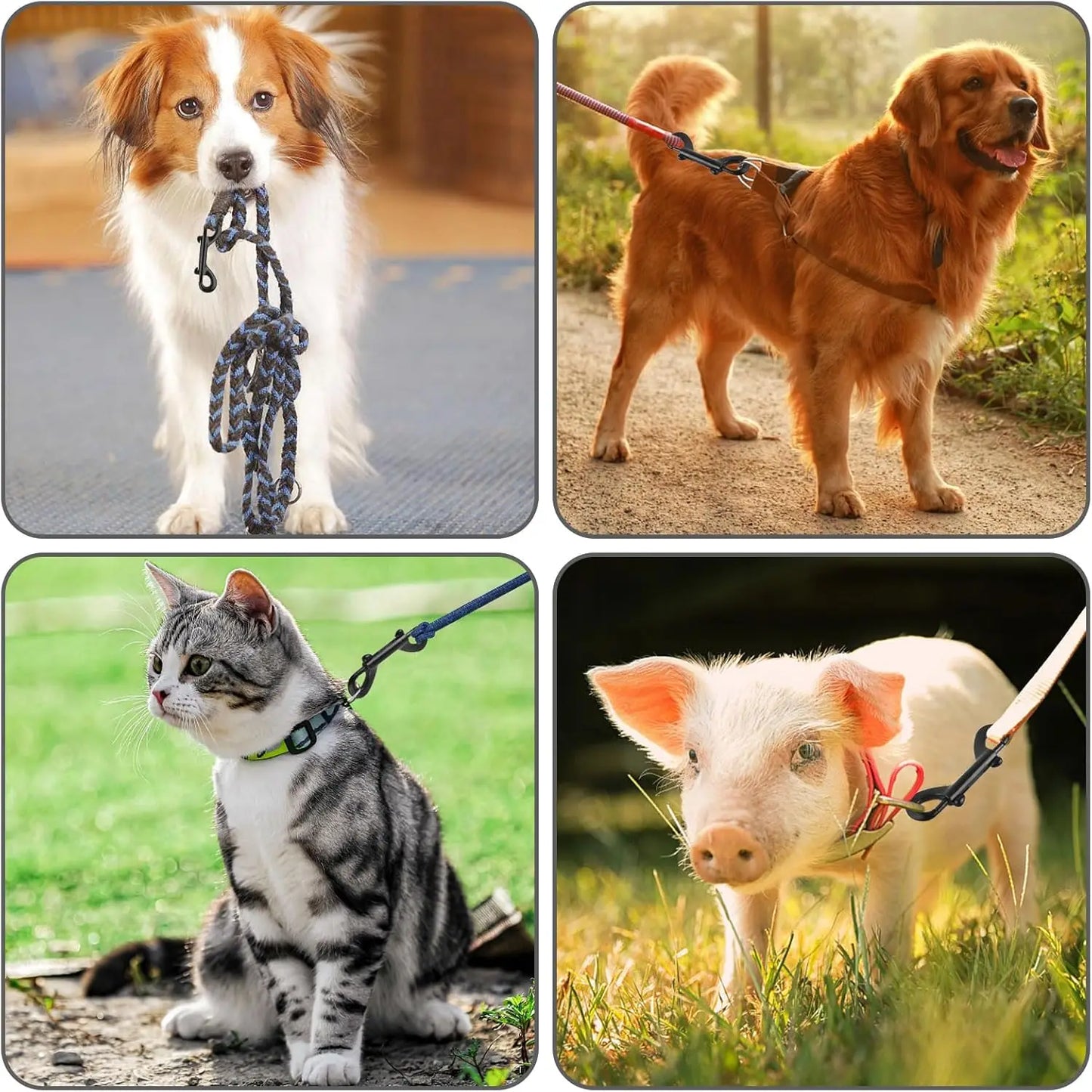 Robuste Doppelseitige Karabinerhaken f&uuml;r Outdoor und Haushal