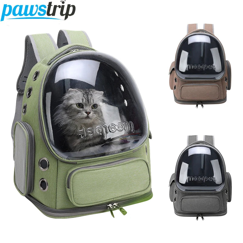 Transparenter Haustier Rucksack für Katzen und kleine Hunde Reisen