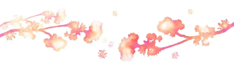 1-5 Meter Nylon Reißverschlüsse mit Kunststoff Schieber für Kleidung-Yabubest - Home & More