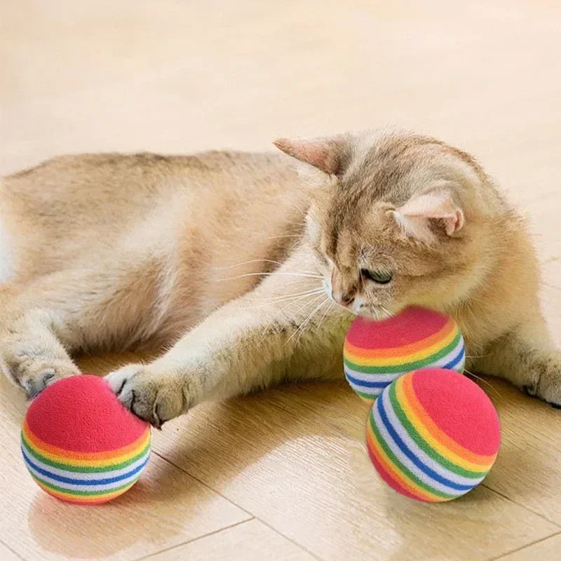 Interaktive Regenbogen EVA Spielbälle für Hund und Katze zum Training