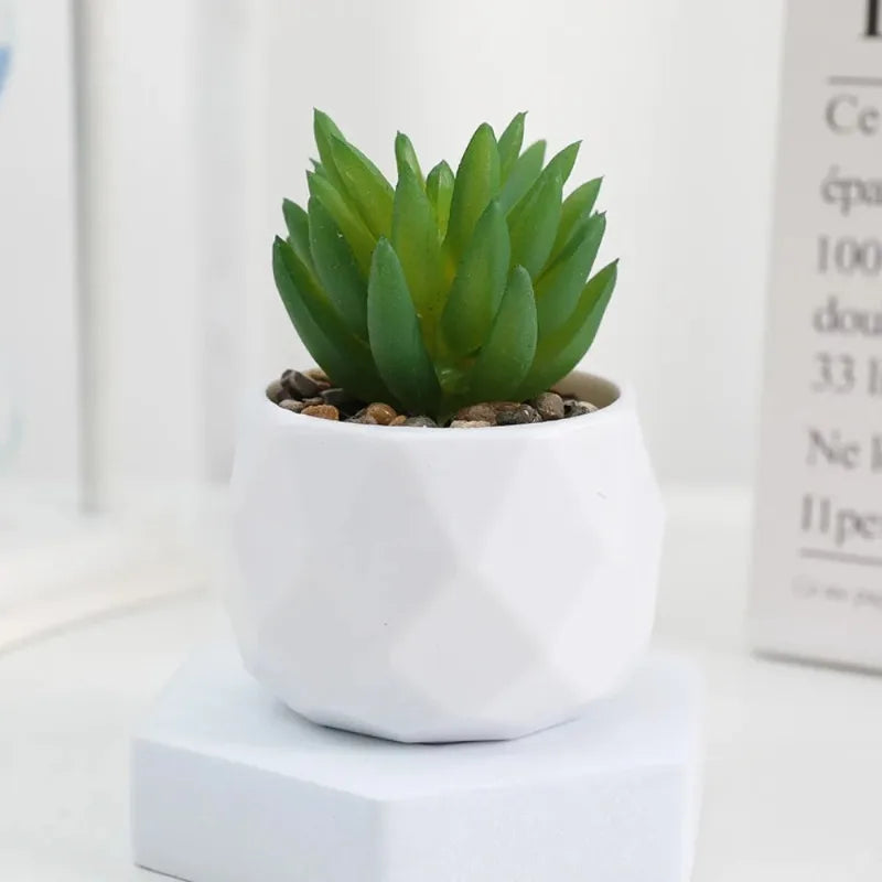 Mini Kunststoff Bonsai Sukkulente Desktop-Deko für Indoor Outdoor