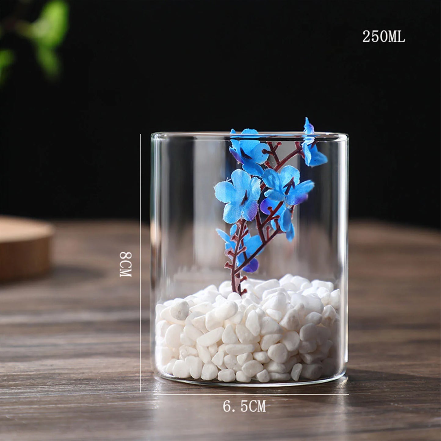 Transparente Glas-Hydrokulturvase Zylinderform für Blumen und Deko