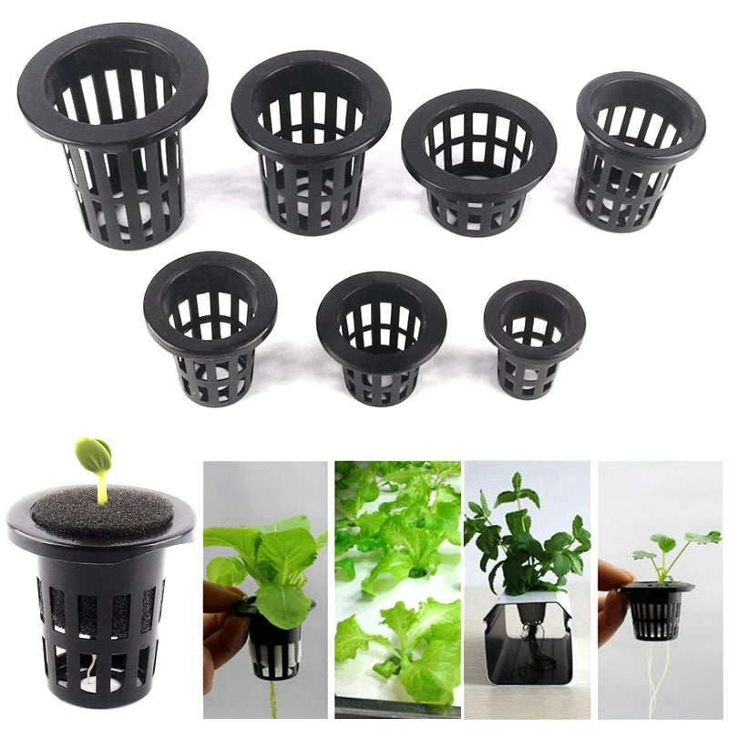 10 Stück Hydrokultur Pflanzkörbe aus Kunststoff für Gewächshaus und Gemüse