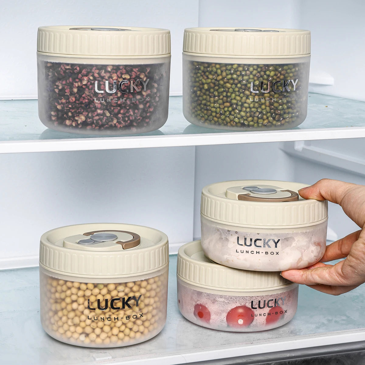 Transparente Kunststoff Lunchbox mit Griff – Mikrowelle, auslaufsicher