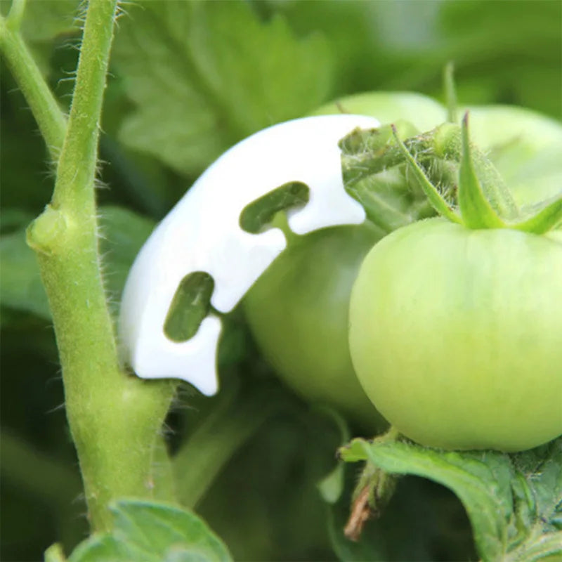 Kunststoff Pflanzhalter Clips für Garten Reben und Tomaten Stiele