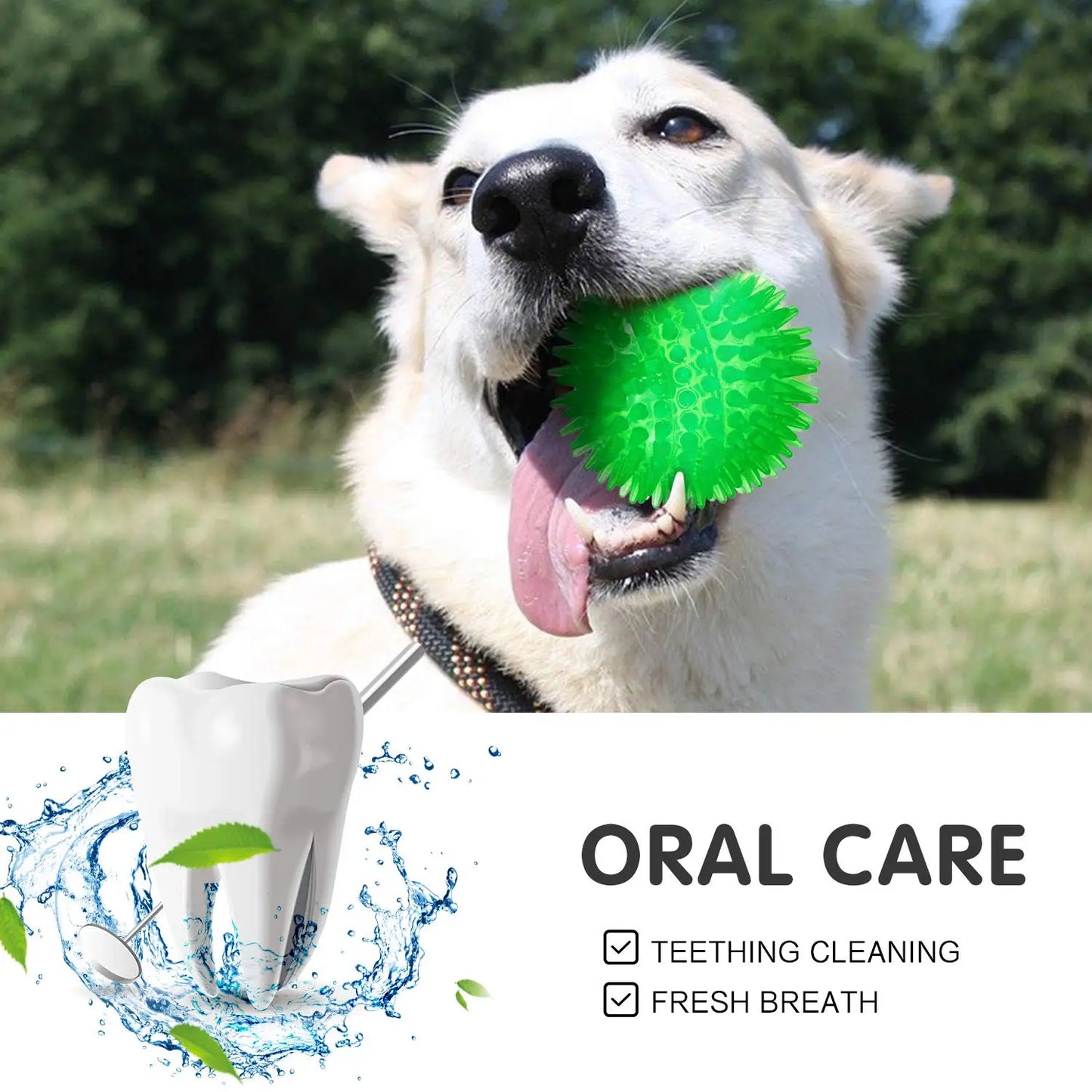 3/6 Stück Quietschende Kaubälle für Hunde, Schwimmfähiges Hundespielzeug