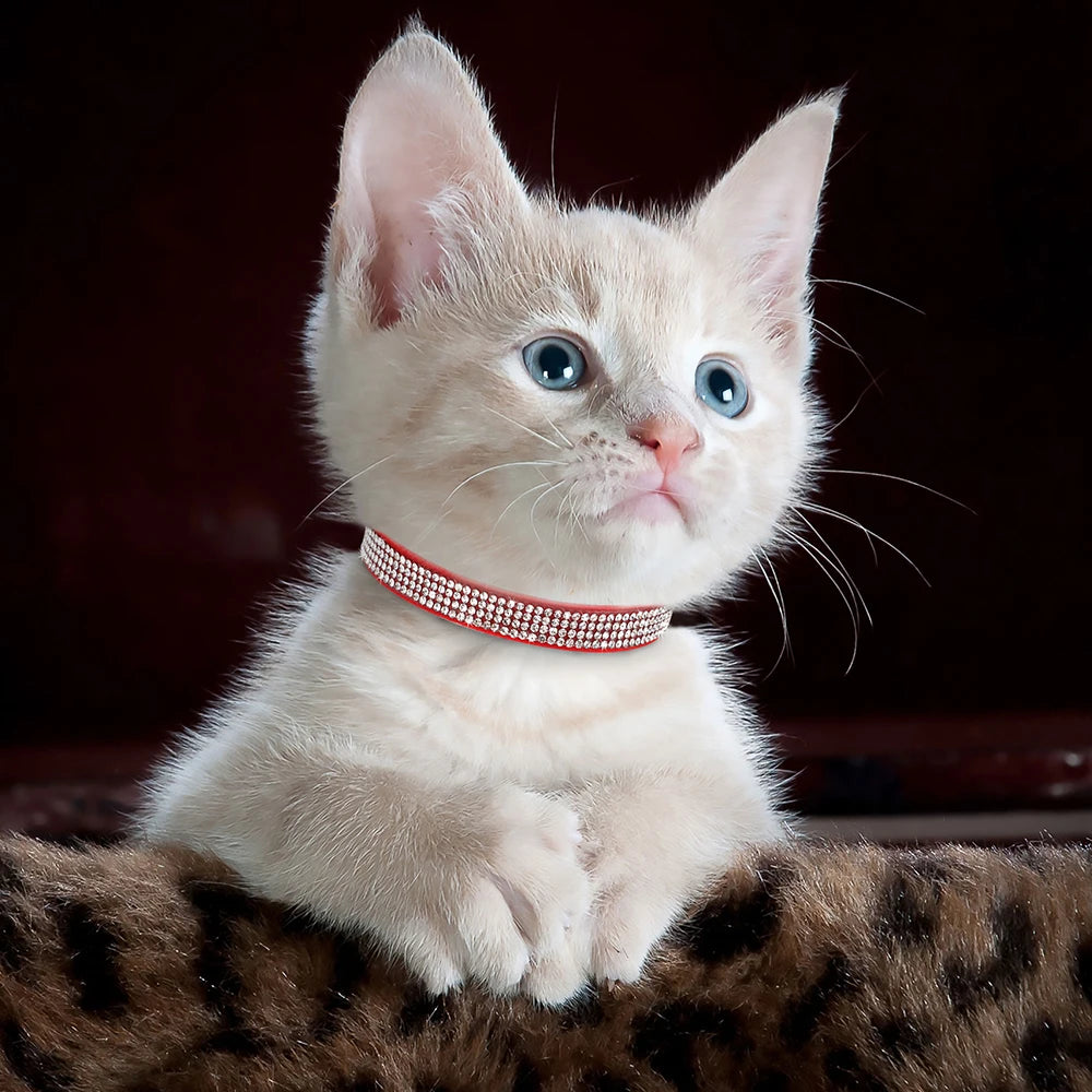 Weiches Wildleder Katzenhalsband mit Strass - Glocke – Sicher - Stilvoll
