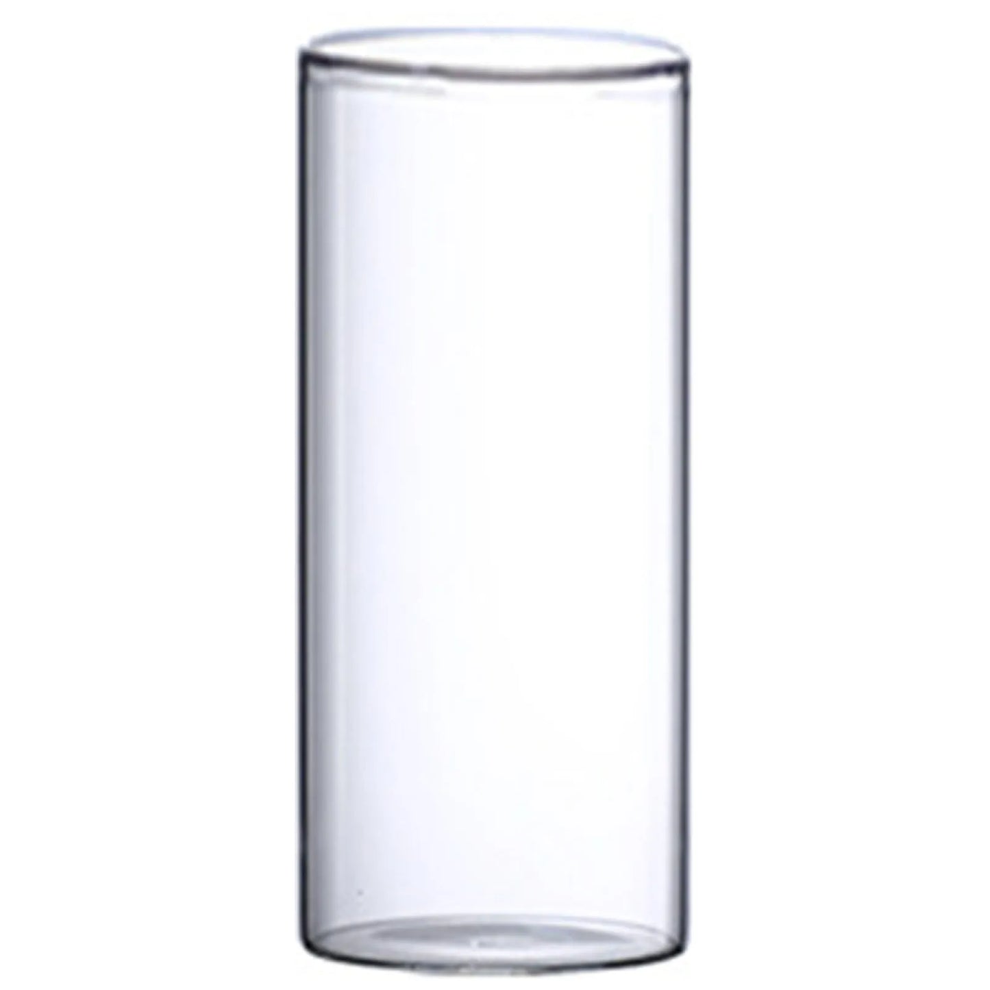 Transparente Glasvase Zylinder Hydroponik Blumenvase für Home Office