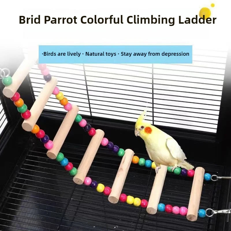 Natürliche Holzvogel Leitern Kletterspielzeug mit bunten Kugeln für Sittiche