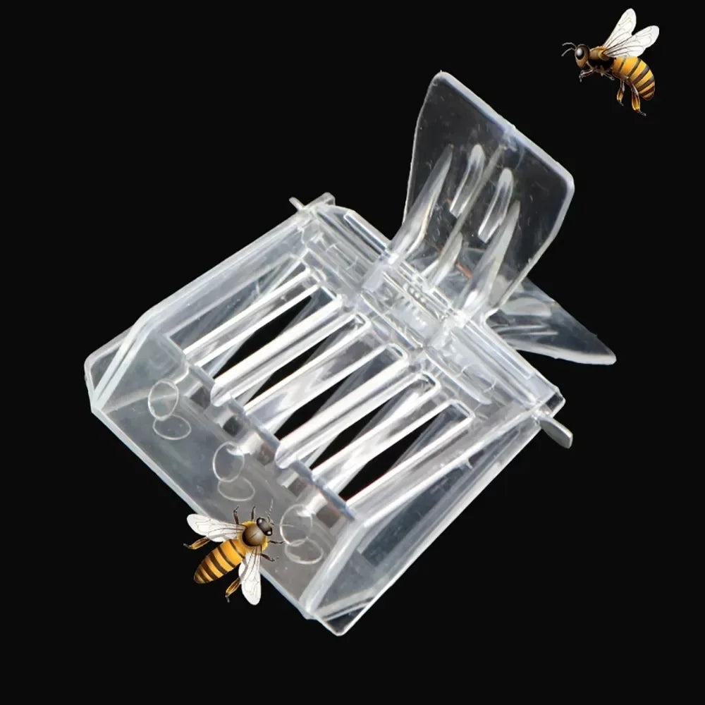 Hochwertiger Bienenzucht Käfig für Bienenkönigin - Praktisches Werkzeug