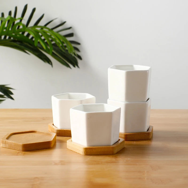 Eleganter Keramik Blumentopf mit Tablett für Sukkulenten und Bonsai