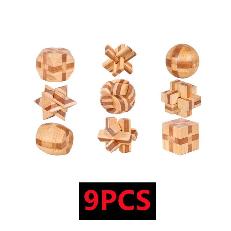 Hölzernes IQ Geduldsspiel 3D Puzzle für Kinder ab 14 Jahren