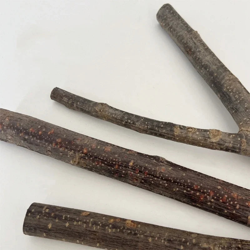 Papagei Holz Sitzstangen mit Saugnapf für Vogelkäfig Spielzeug Zubehör