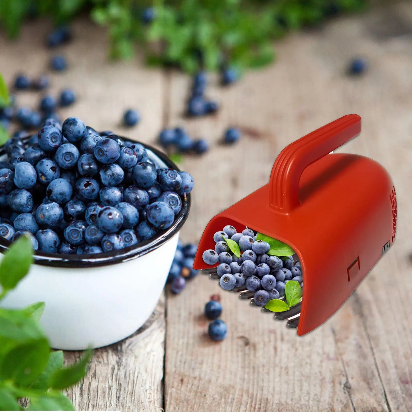 Ergonomischer Beerenpflücker mit Kunststoffgriff für Heidelbeerernte