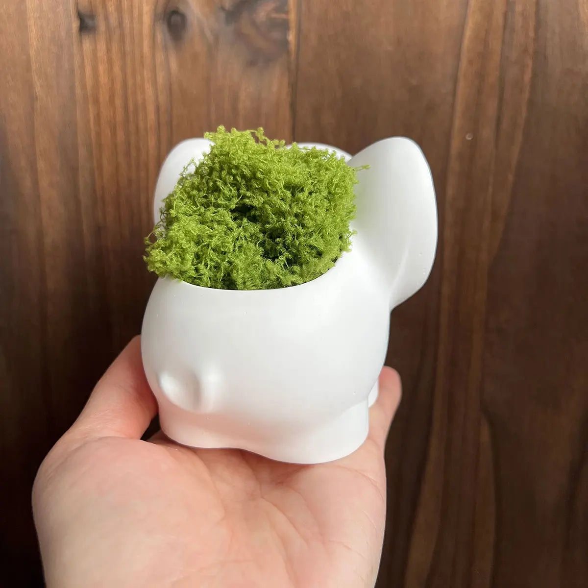 Silikonform Elefantenform für DIY Kaktus Sukkulenten Pflanzer