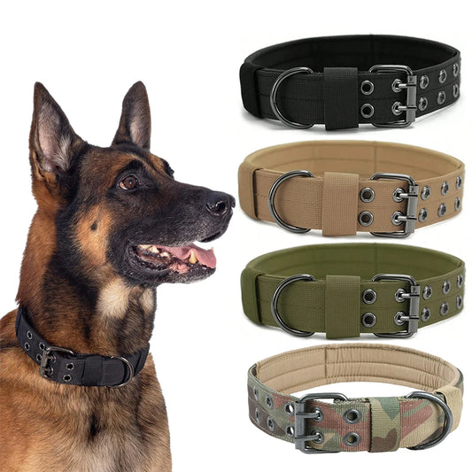 Taktisches Nylon Hundehalsband für Training und Outdoor